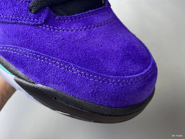  “Alternate 5 Jordan Grape” 136027-500 Air 0204